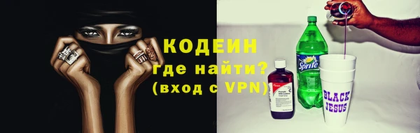 крисы Баксан