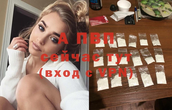 крисы Баксан