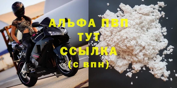 молекула духа Балахна